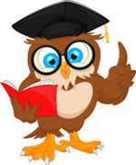 Owl reading book Owl reading book